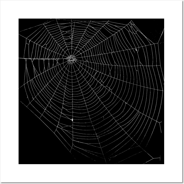 Spiders Web Wall Art by zeljkica